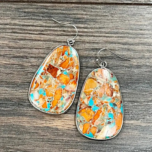 Brown and Turquoise Earrings